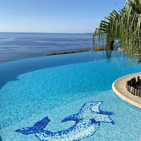 Avec Piscine A Debordement Et Climatisation, Cote D'azur - Fr-1-768-71 Villa